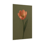 Peach Tulip Print