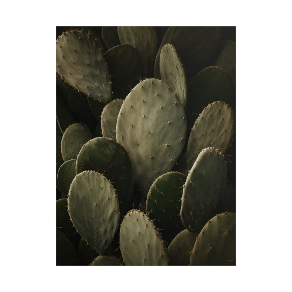 Dark Cactus Print