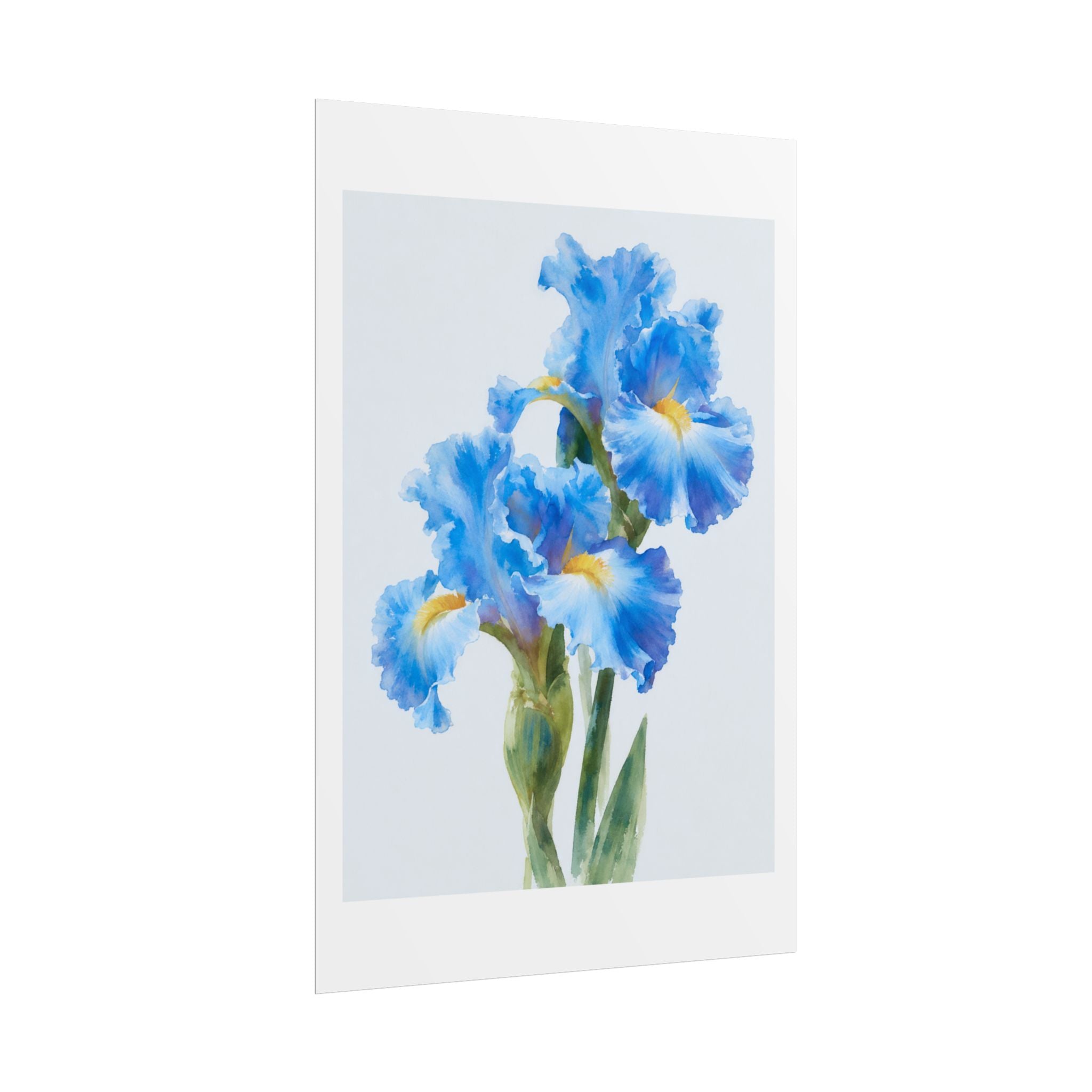 Blue Iris Watercolor Print
