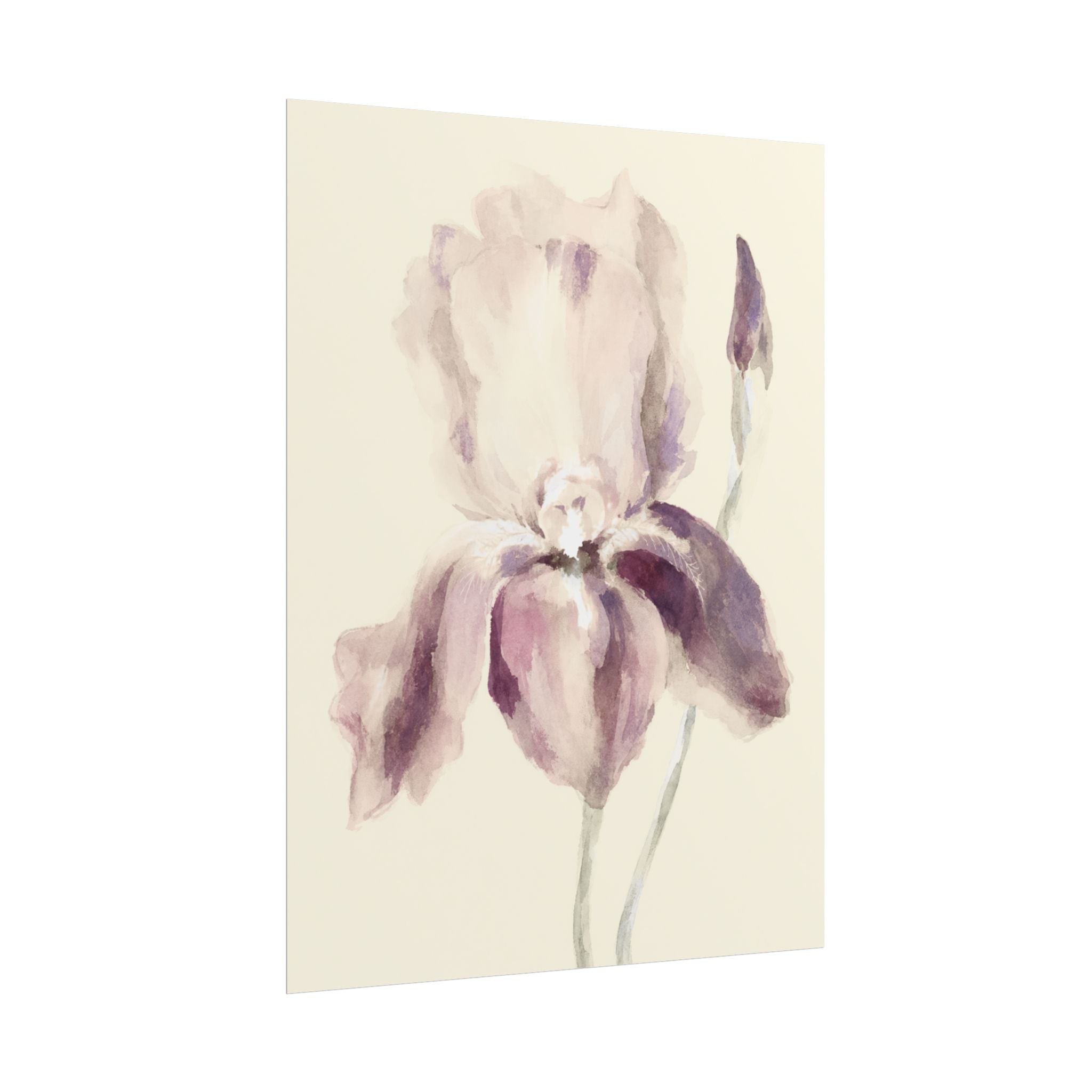 Purple Iris Print