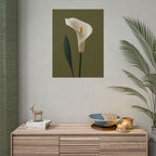 White Calla Lily Print