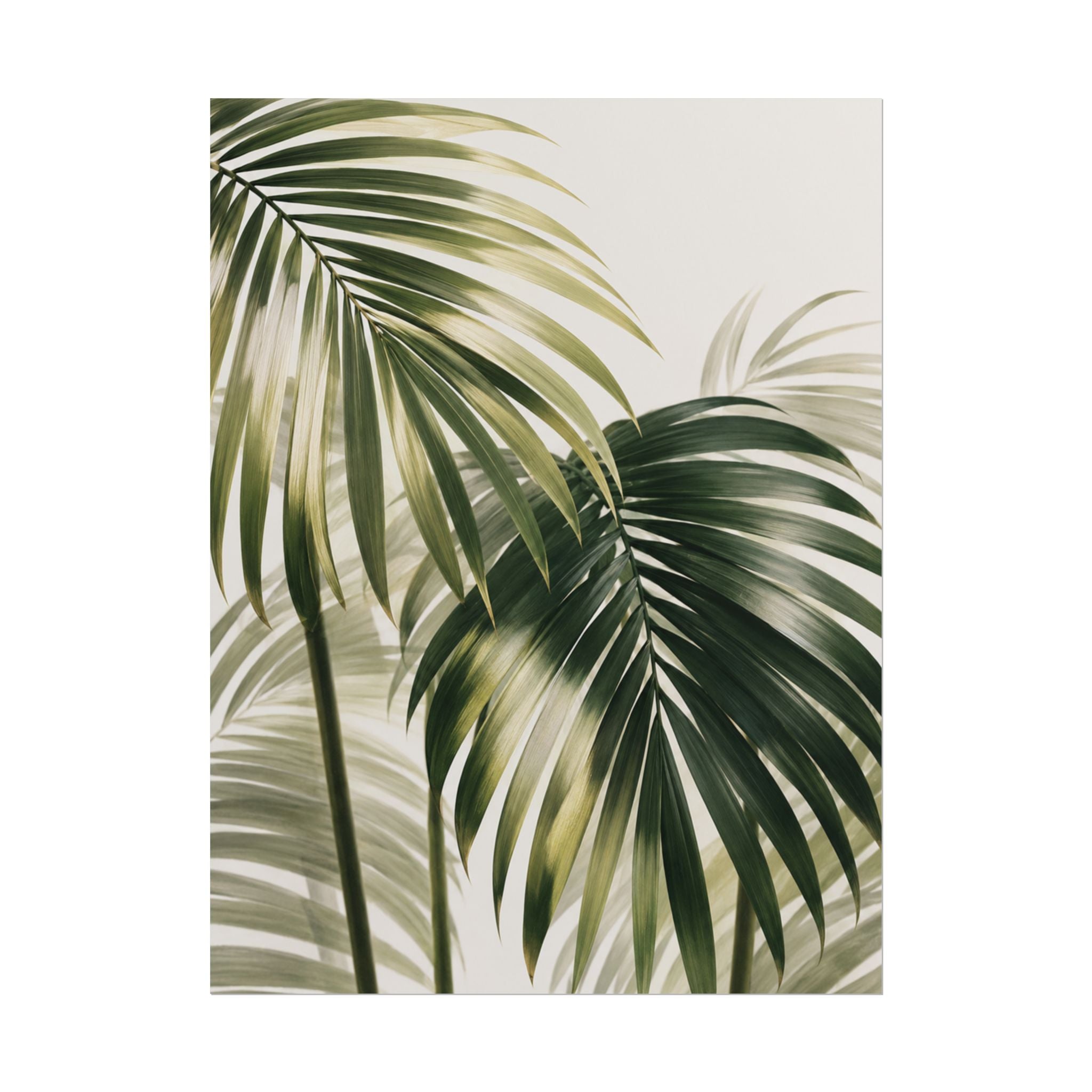 Palm Frond Print