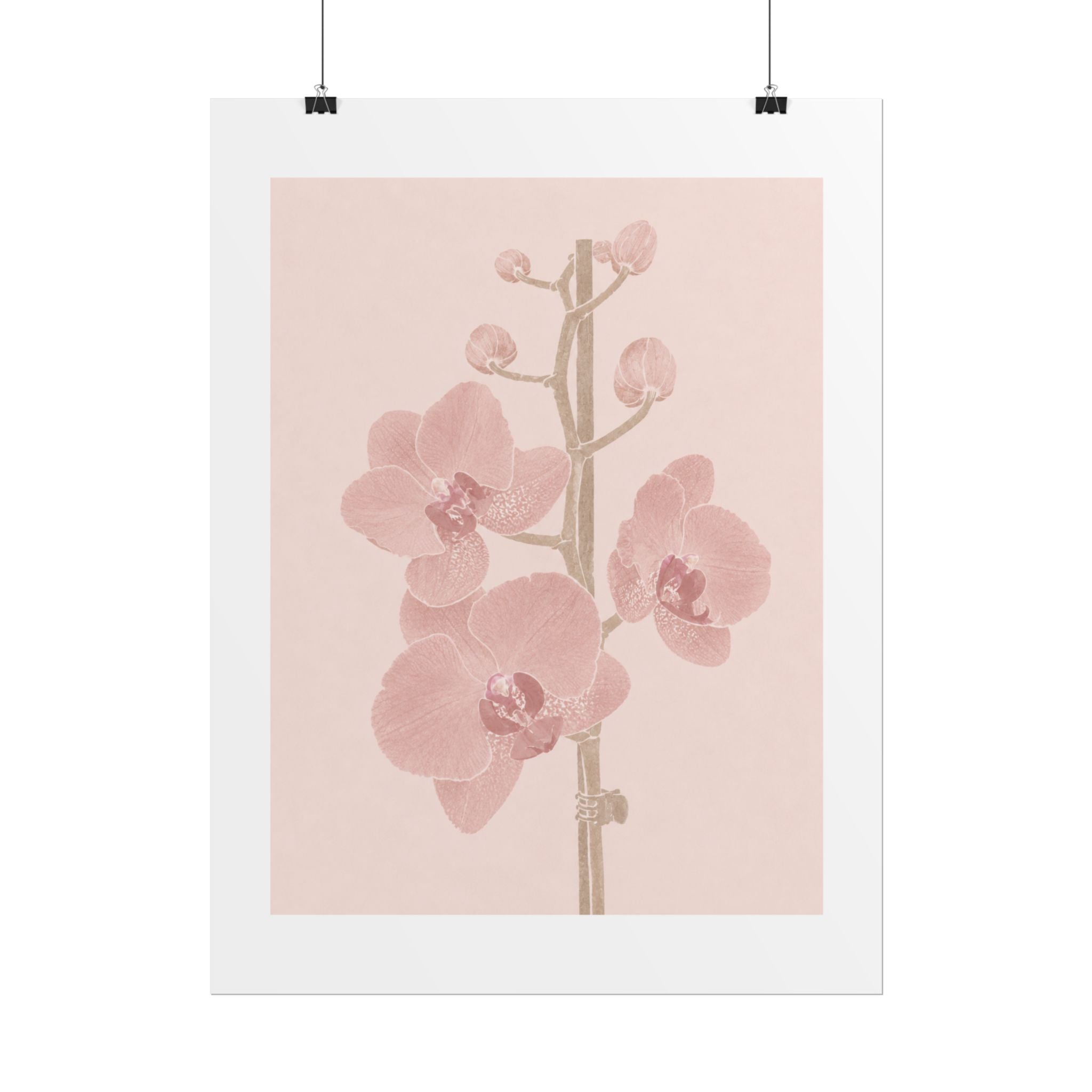 Blush Orchid Branch Print