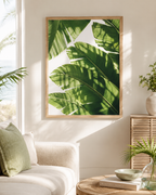 Banana Leaf Shadow Print