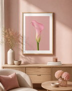 Pink Calla Lily Print